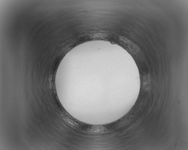 X0000082160514200702162238