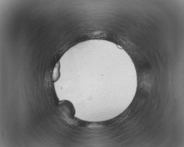 X0000082160515200702162238