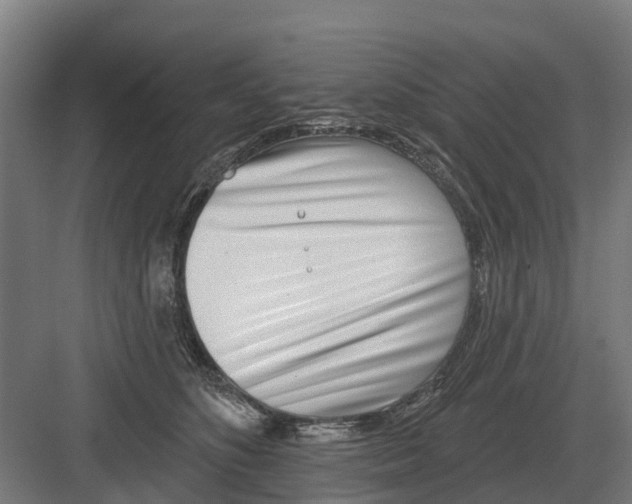 X0000082160516200702162238