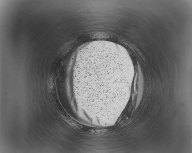 X0000082160517200702162238