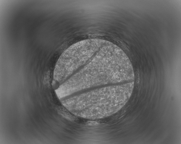 X0000082160519200702162238