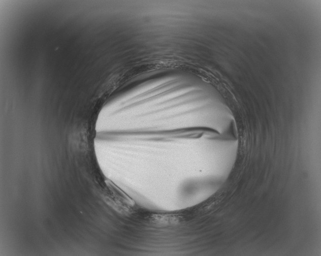 X0000082160520200702162238