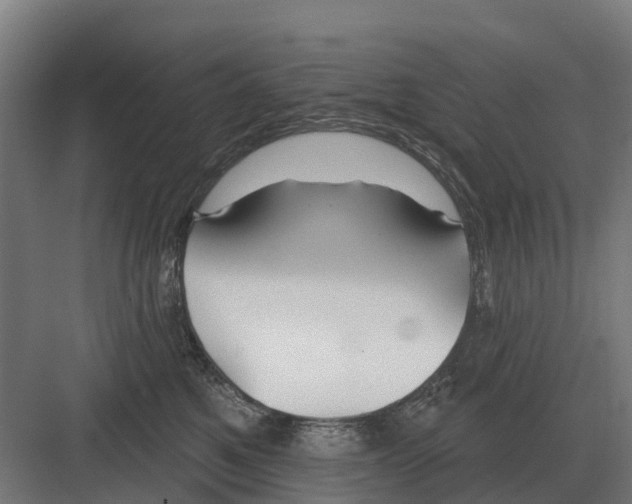 X0000082160521200702162238