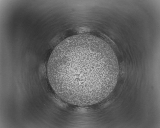 X0000082160523200702162237