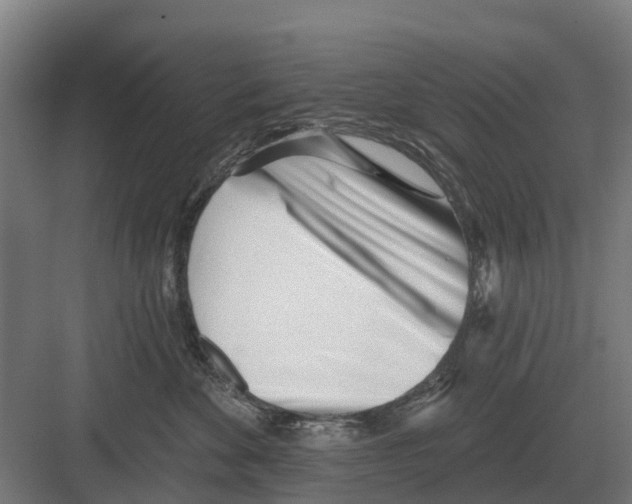 X0000082160524200702162237