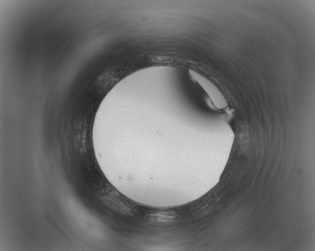 X0000082160525200702162237