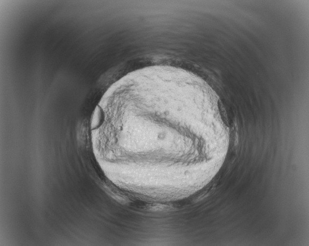 X0000082160527200702162237