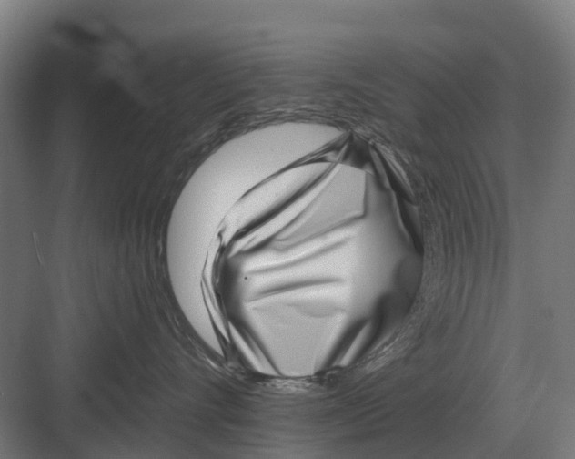 X0000082160528200702162237