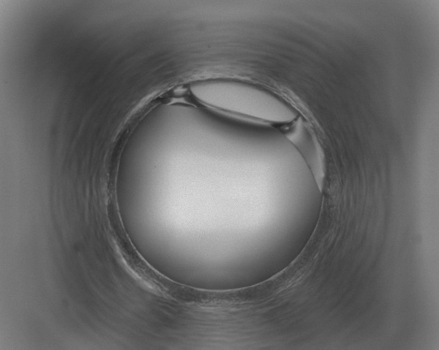 X0000082160530200702162237