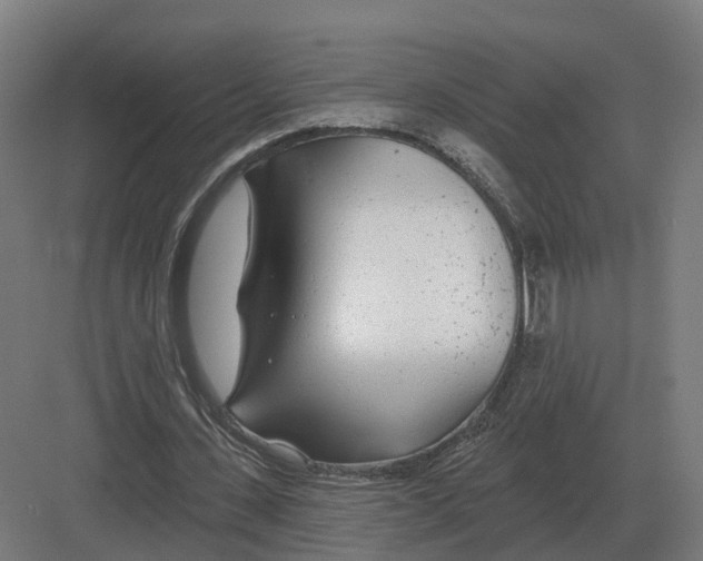 X0000082160531200702162237