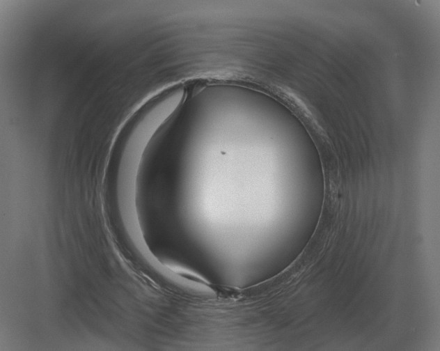 X0000082160532200702162237