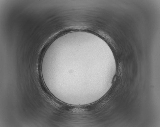 X0000082160535200702162237