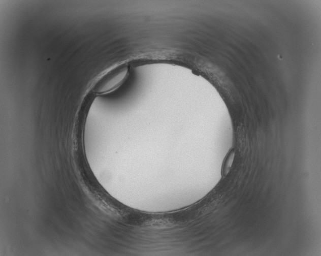 X0000082160536200702162237