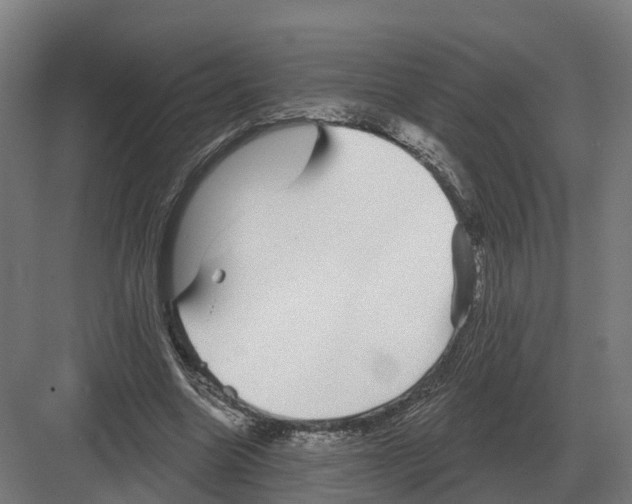 X0000082160538200702162237