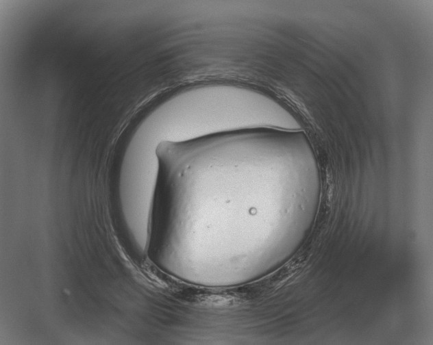 X0000082160542200702162237