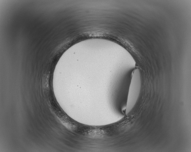 X0000082160543200702162237