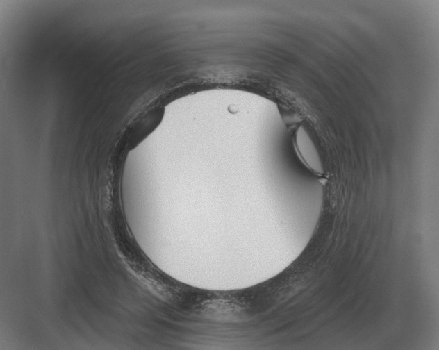 X0000082160544200702162237