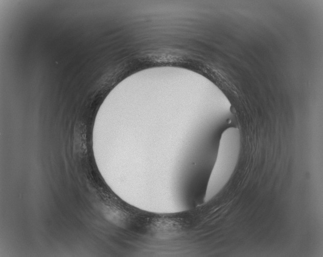 X0000082160547200702162237