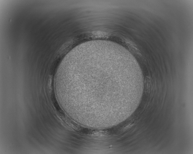 X0000082160550200702162237