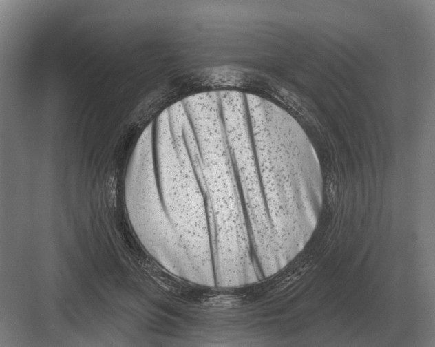 X0000082160551200702162237