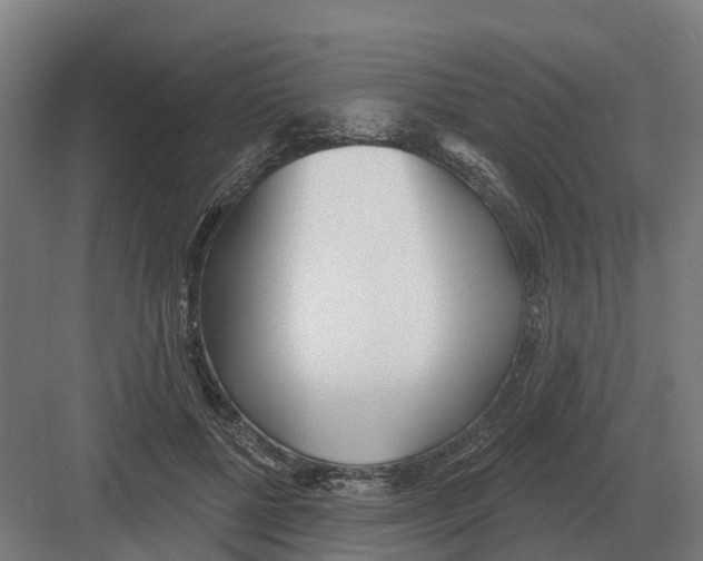 X0000082160552200702162237