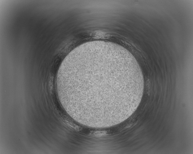 X0000082160554200702162237