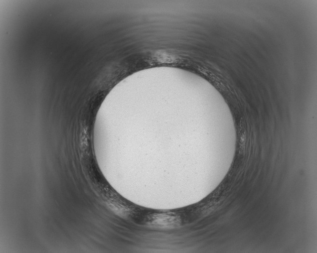 X0000082160555200702162237