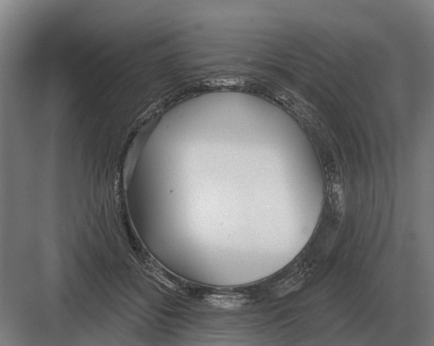 X0000082160556200702162237