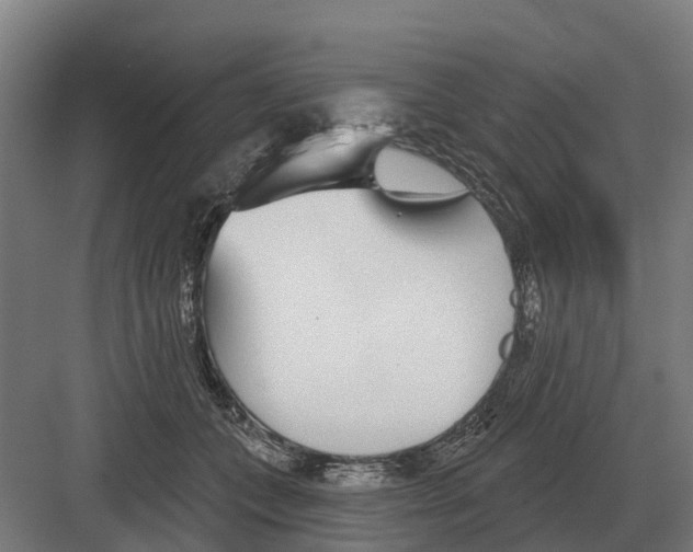 X0000082160559200702162237