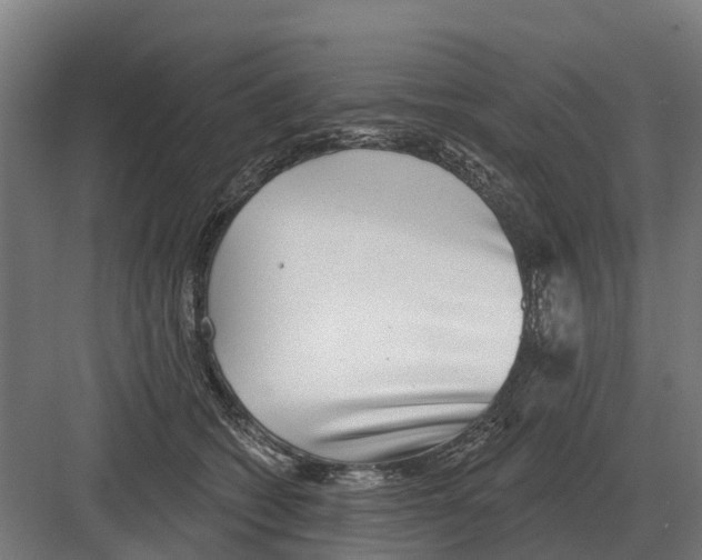 X0000082160562200702162237