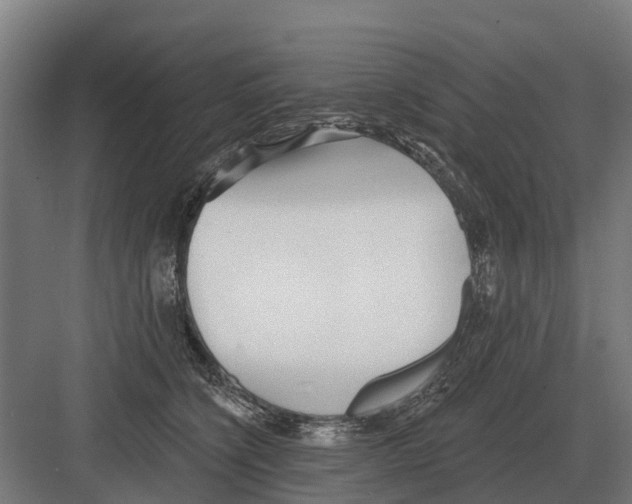 X0000082160564200702162237