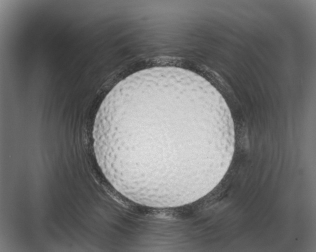 X0000082160569200702162237