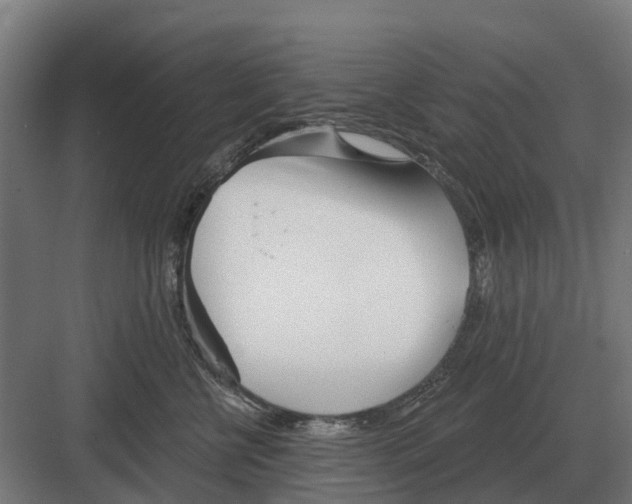 X0000082160570200702162237