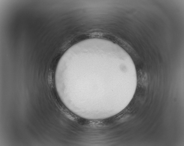 X0000082160573200702162237