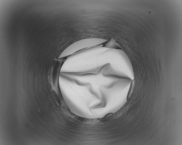 X0000082160576200702162237