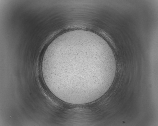 X0000082160578200702162237