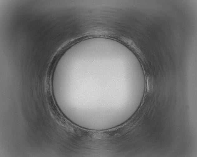 X0000082160579200702162237