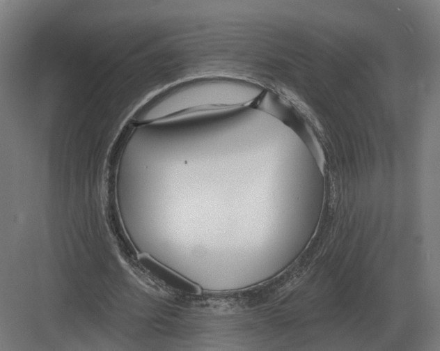 X0000082160580200702162237