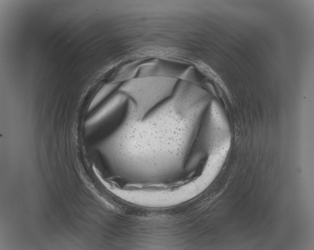 X0000082160581200702162237