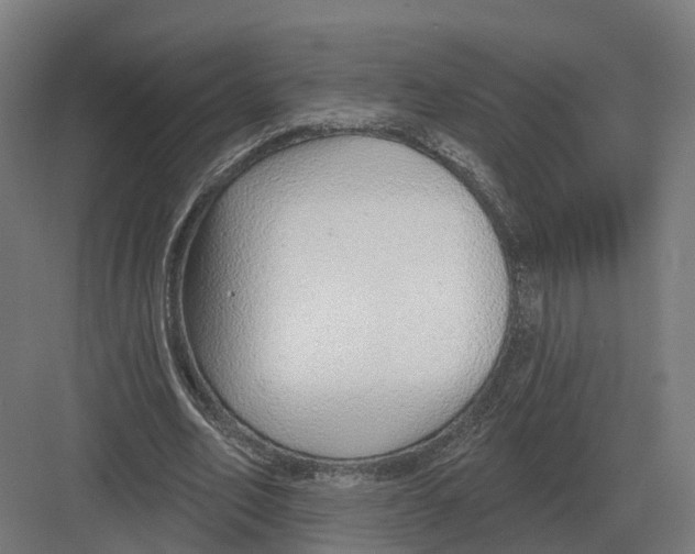 X0000082160582200702162236