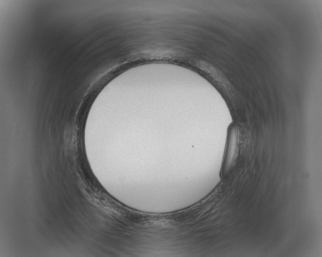 X0000082160583200702162236