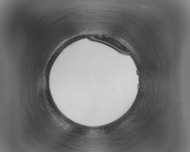 X0000082160584200702162236