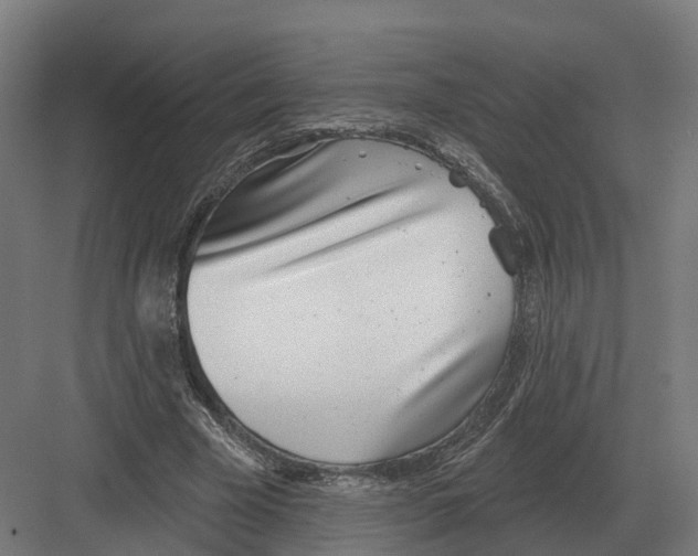 X0000082160585200702162236