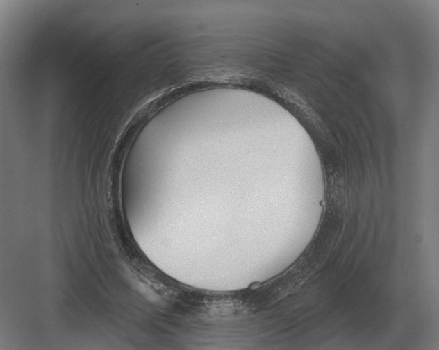 X0000082160587200702162236