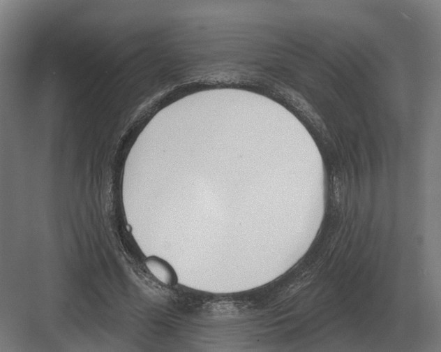 X0000082160588200702162236