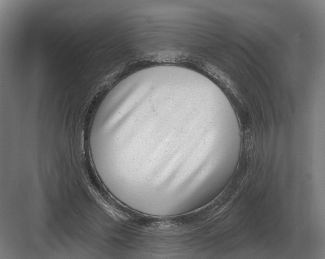 X0000082160589200702162236