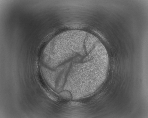 X0000082160590200702162236