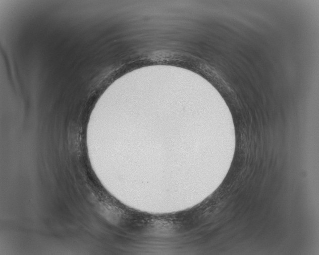 X0000082160592200702162236