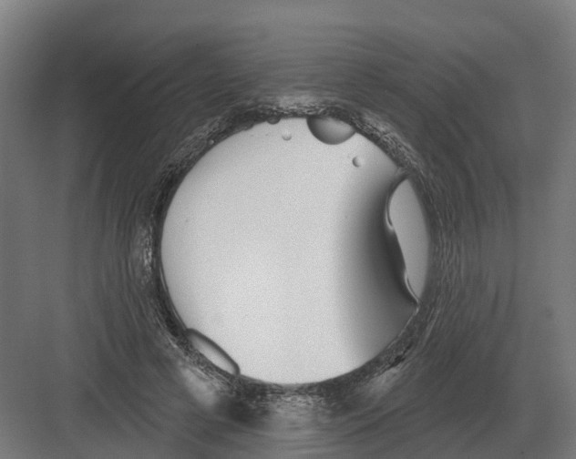 X0000082160593200702162236