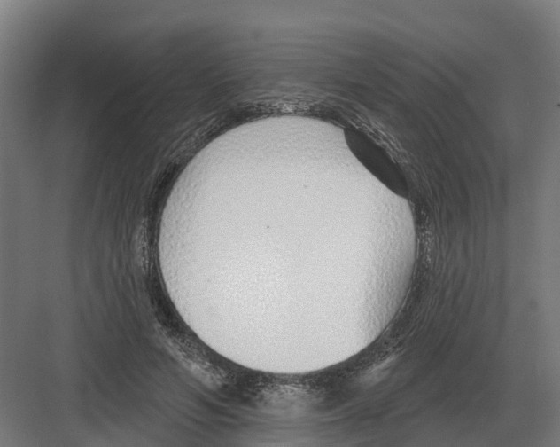 X0000082160594200702162236